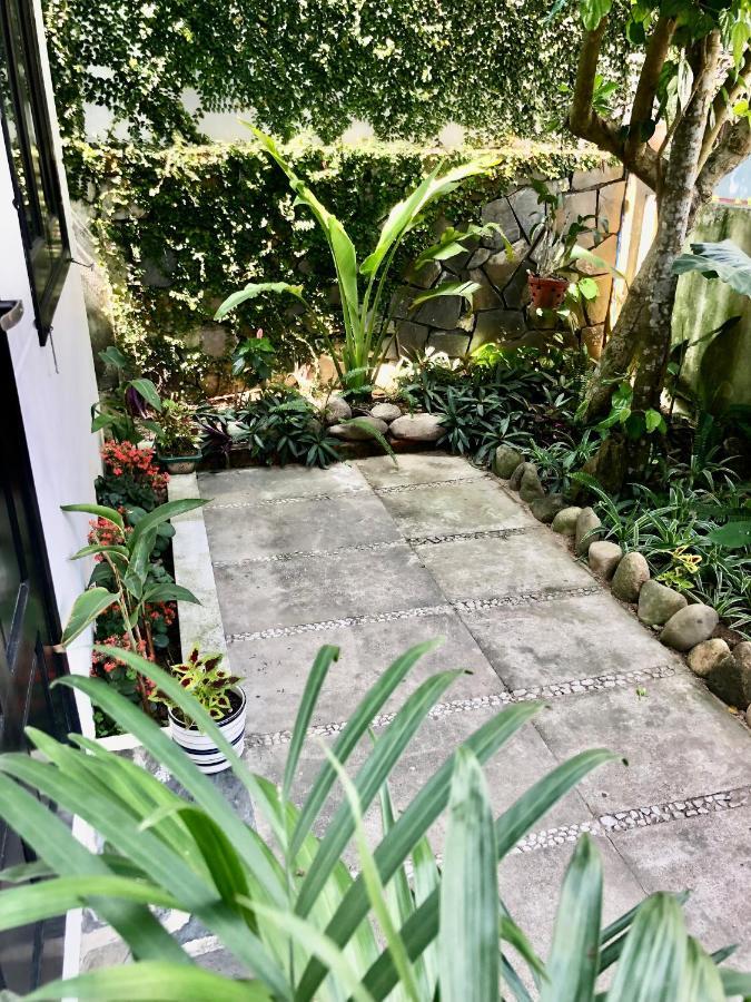 Hoi An Sunny Gardenアパートメント エクステリア 写真