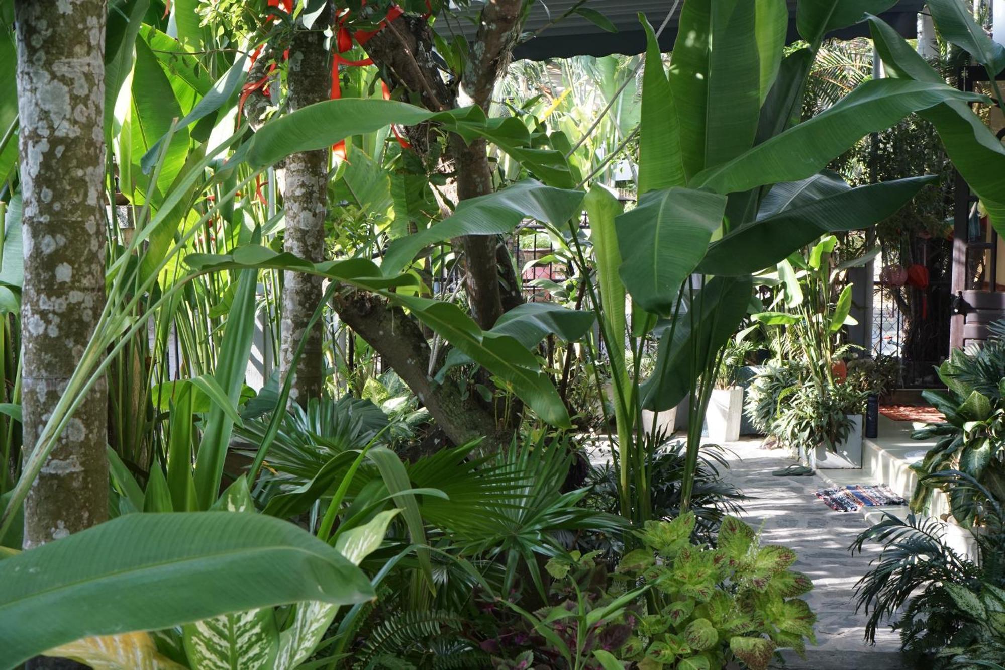 Hoi An Sunny Gardenアパートメント エクステリア 写真