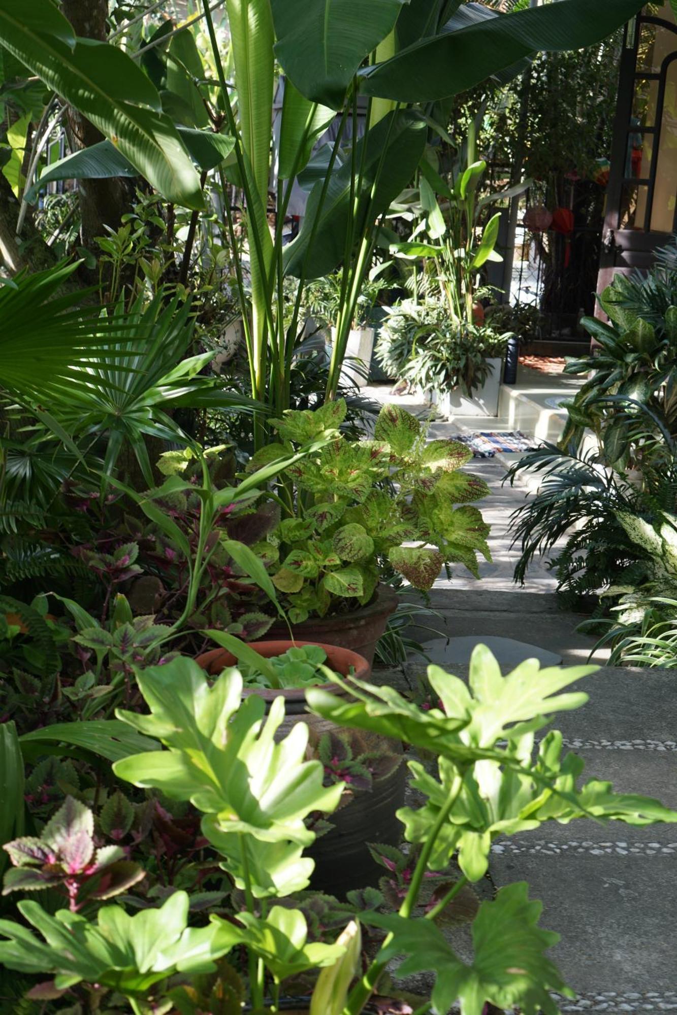 Hoi An Sunny Gardenアパートメント エクステリア 写真