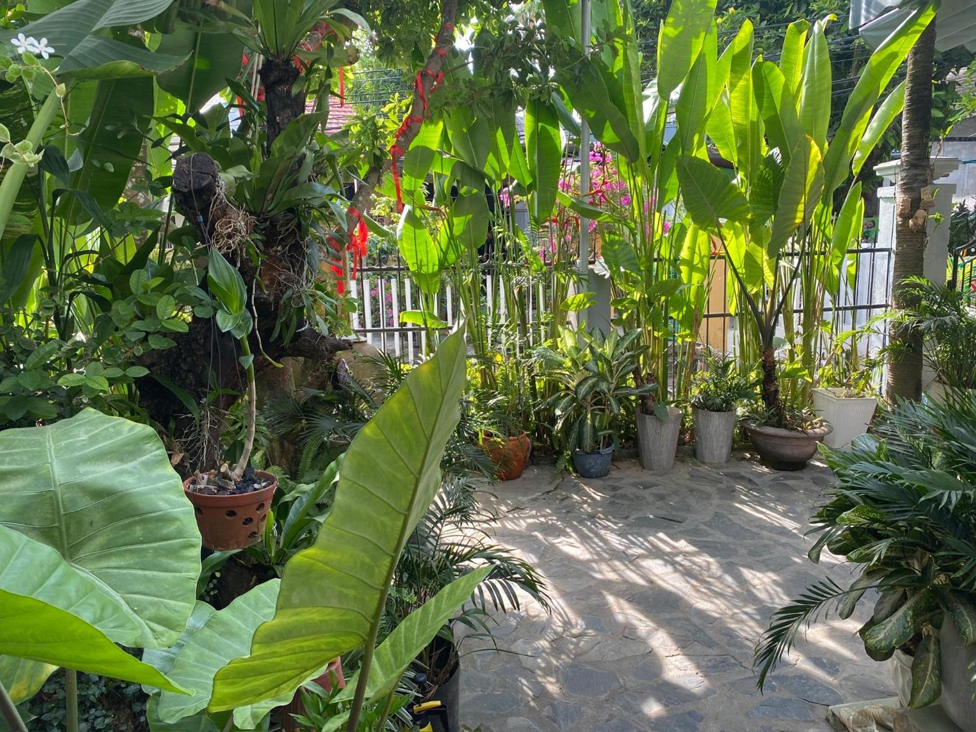 Hoi An Sunny Gardenアパートメント エクステリア 写真