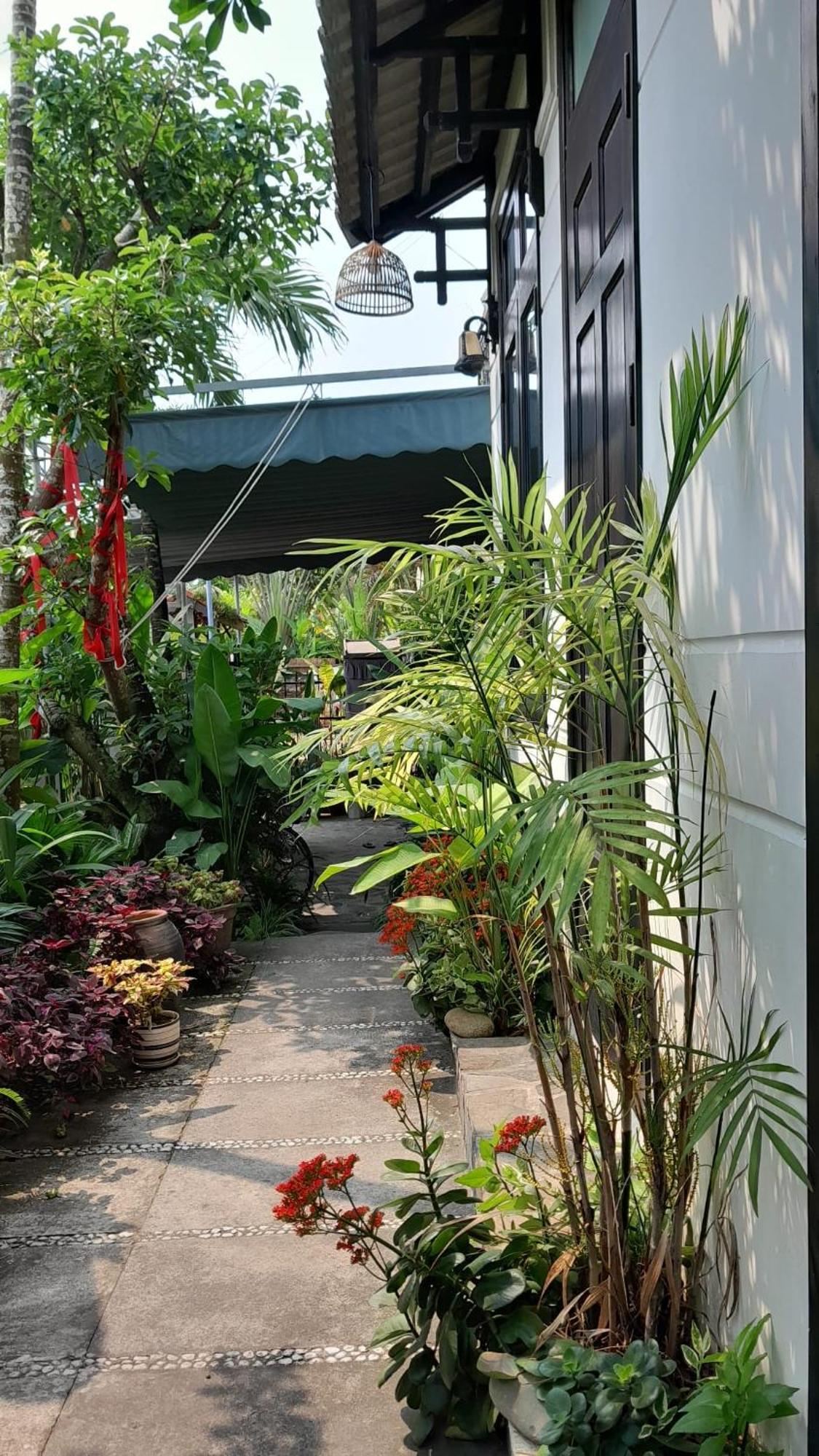 Hoi An Sunny Gardenアパートメント エクステリア 写真